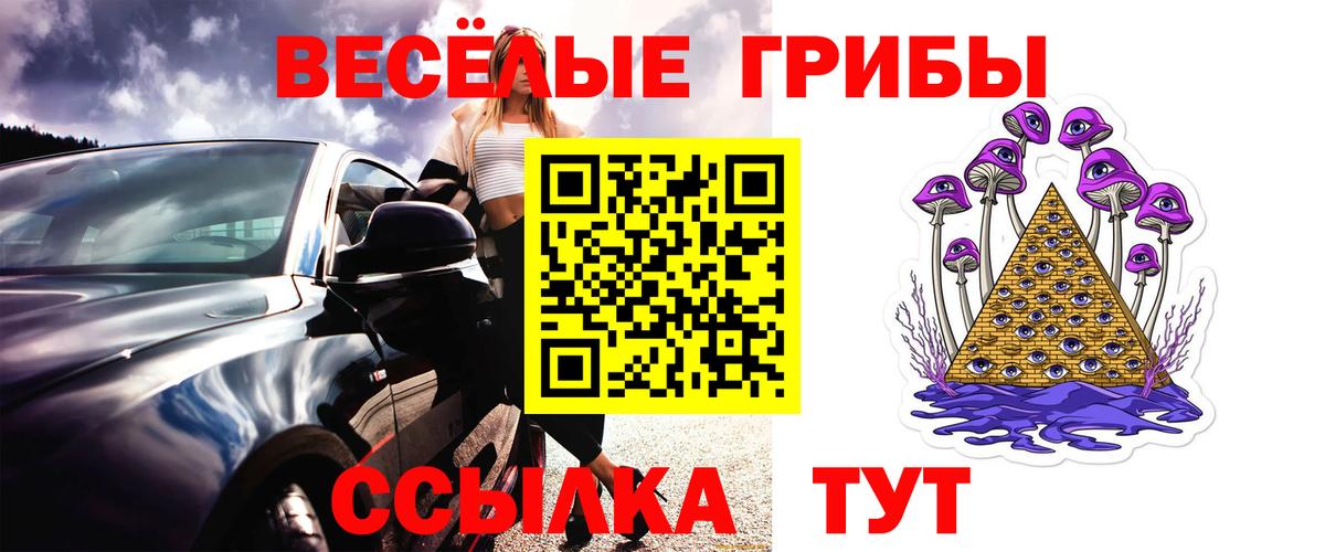 Галлюциногенные грибы GOLDEN TEACHER Белая Калитва